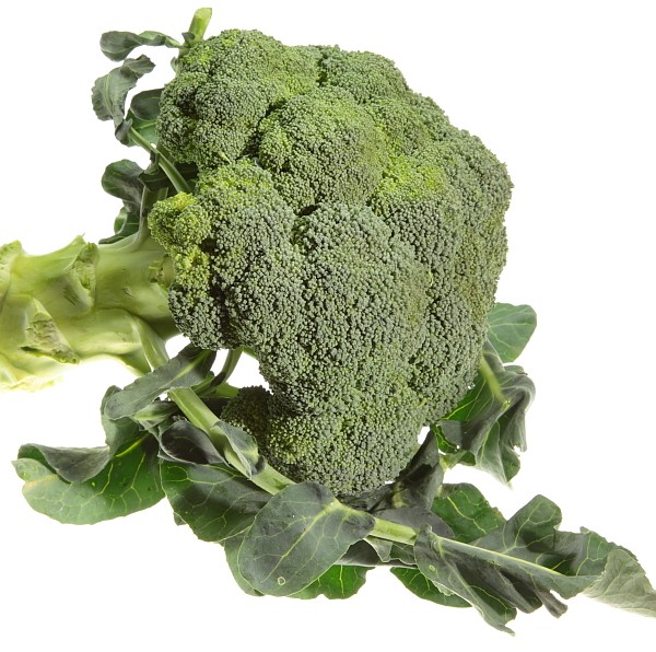 Broccoli