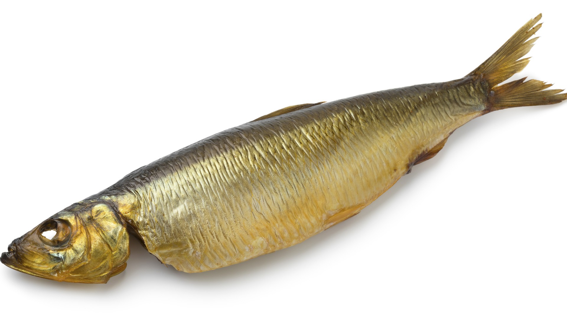 Aringa affumicata