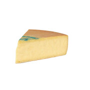 Fontina