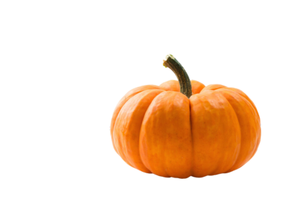 Autunno: le migliori ricette con la zucca