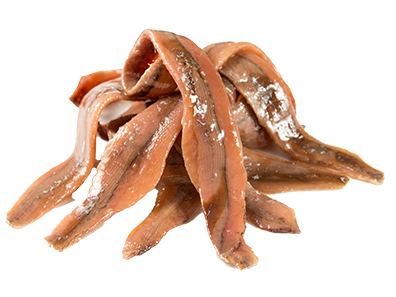 Acciughe, alici e sarde: qual è la differenza e le ricette più buone