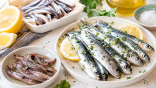 Alici acciughe e sarde