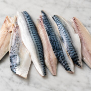 Filetti di sgombro