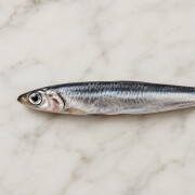 Acciughe