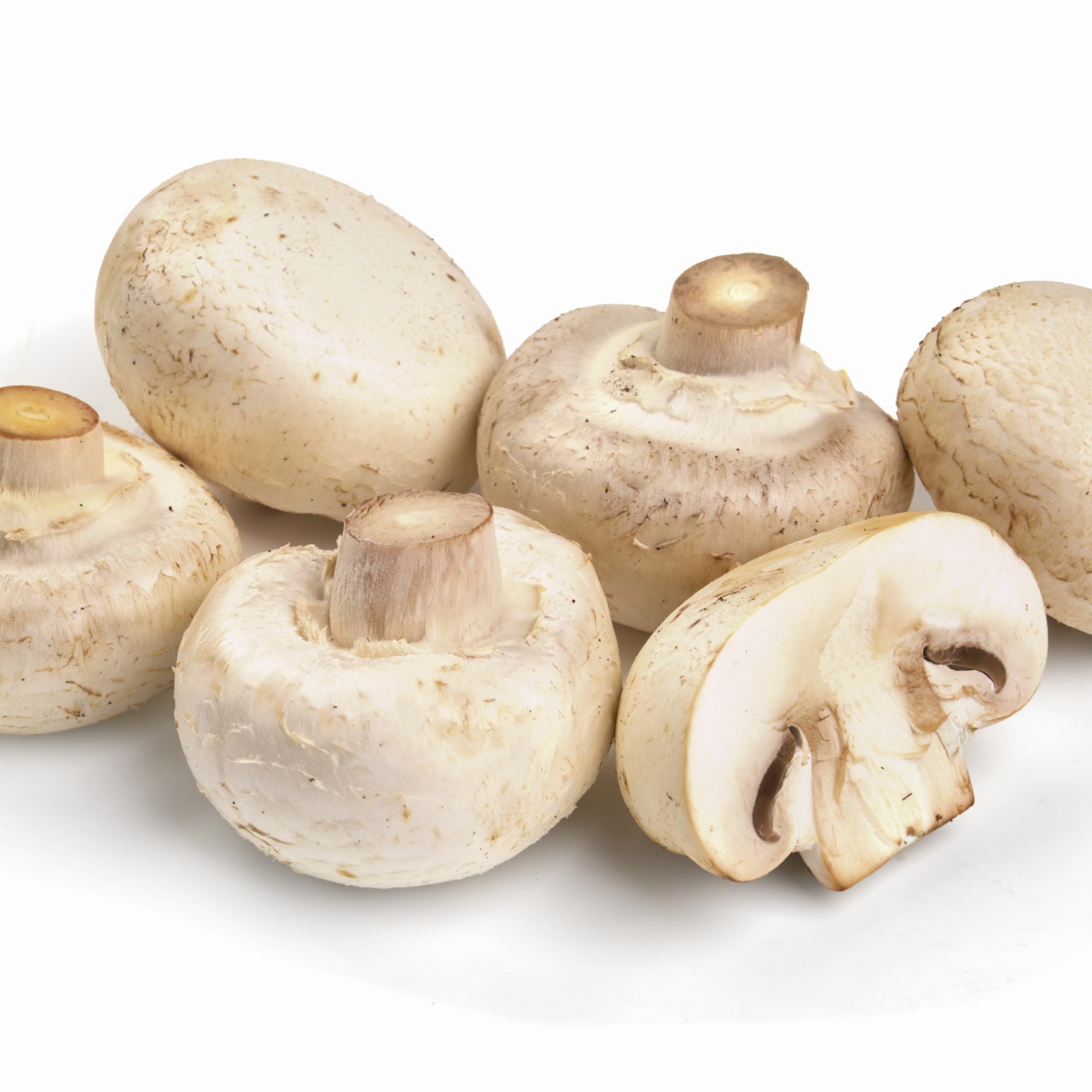 Funghi champignon