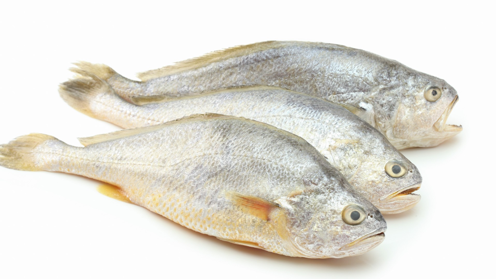 ombrina